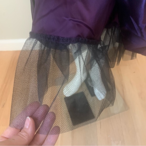 BISCOTTI Collezioni Velvet and Taffeta Special Occasion Fancy Dress Size 4T - Picture 15 of 16